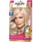 PALETTE DELUXE PLATİN SARISI 10-2